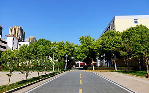 樂山欣欣藝術職業學校有哪些專業?服裝設計與工藝類專業好不好
