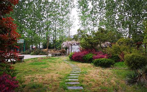 樂山市中區育賢中等職業學校開設有哪些專業?電子技術應用專業就業方向如何